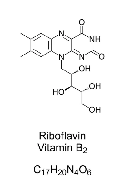 Riboflavin Vitamin Kemisk Struktur Skelet Formel Vitamin Der Findes Fødevarer – Stock-vektor