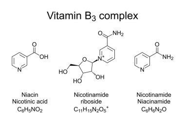 Vitamin B3 complex, chemical formulas. Nicotinamide, niacin and nicotinamide riboside, the three vitamers of the vitamin B3. All three forms are converted within the body to NAD. Illustration. Vector clipart