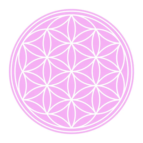 Bílé Semínko Života Pastelově Růžovém Kruhovém Poli Geometrická Postava Duchovní — Stockový vektor