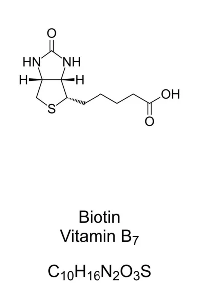 Biotin Vitamin Chemische Formel Und Skelettstruktur Beteiligt Vielen Stoffwechselprozessen Vor — Stockvektor