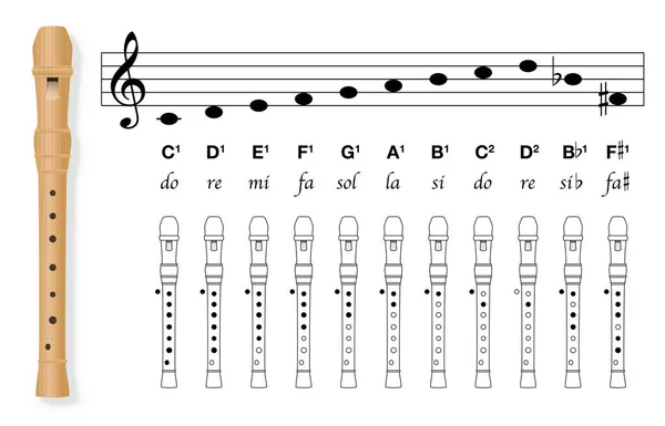 Fingering Chart Recorder Black Covered Holes White Uncovered Stave Corresponding — Stock Vector