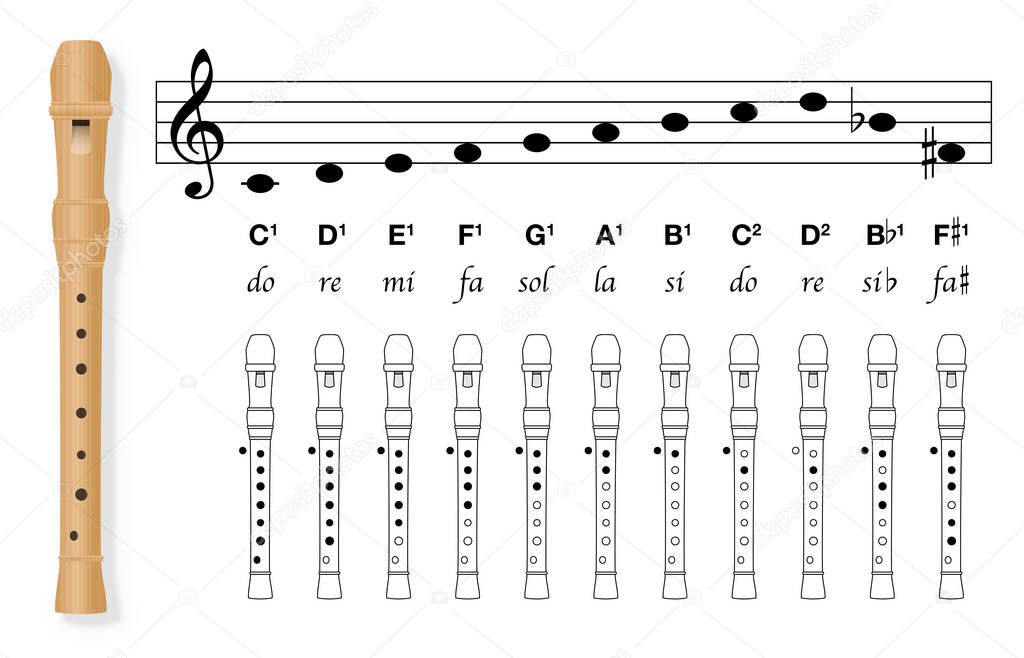 Fingering chart for recorder with black covered holes and white uncovered. Stave with corresponding basic musical notes, C major, B flat and F sharp. Vector on white.