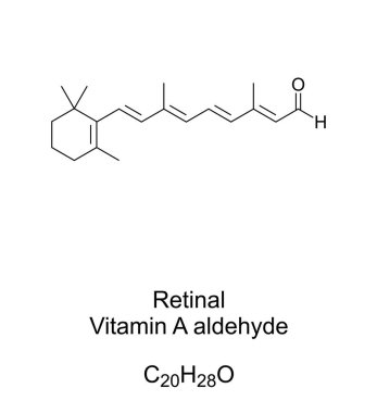 Retina, A vitamini, aldehit, kimyasal formül ve iskelet yapısı. Aynı zamanda retinaldehit, A vitamini ve görüşün kimyasal temeli olarak da bilinir. Beyaz arka planda izole bir illüstrasyon. Vektör.