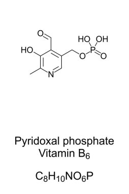 Pyridokssal fosfat, B6 vitamininin aktif formu, kimyasal formül ve iskelet yapısı. PLP ya da P5P olarak da bilinir, çeşitli enzimsel reaksiyonlarda bulunan bir koenzimdir. İllüzyon. Vektör.