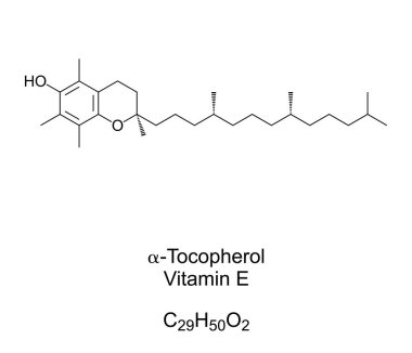Alfa-Tocopherol, E vitamini kimyasal formülü ve iskelet yapısı. Bir tür E vitamini tercihen emilir ve insanlarda birikir. Besin katkı maddesi E307, beslenme takviyesi. İllüzyon. Vektör