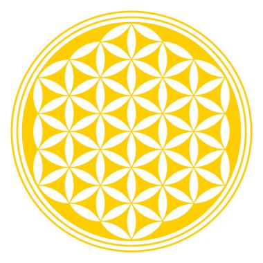 Ters çevrilmiş Altın Hayat Çiçeği. Geometrik bir figür, ruhani sembol ve kutsal geometri. Üst üste binen daireler mandala oluşturur ve simetrik desen gibi çiçek açar. Beyazın yerine illüstrasyon. Vektör.