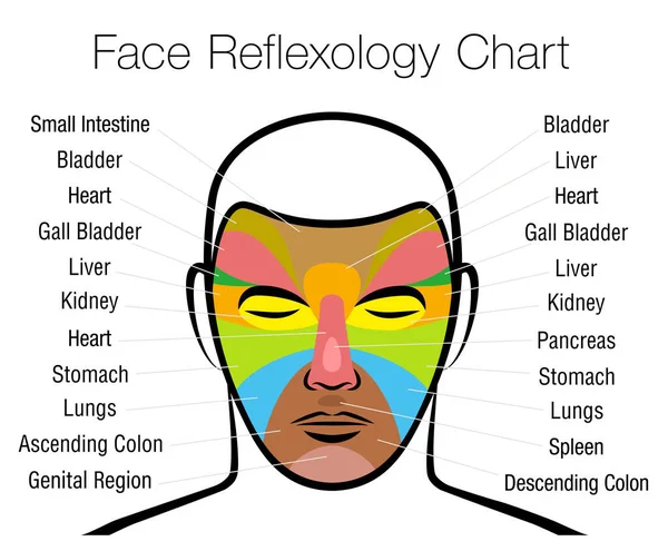 Cara Reflexología Tratamiento Alternativo Acupresión Fisioterapia Carta Masaje Zona Con — Archivo Imágenes Vectoriales