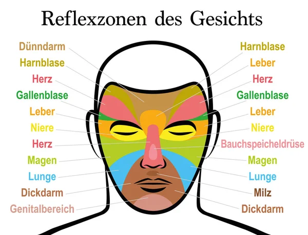 Gezicht Reflexologie Kaart Duitse Tekst Alternatieve Acupressuur Fysiotherapie Gezondheidsbehandeling Zone — Stockvector