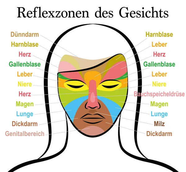 Gezicht Reflexologie Kaart Duitse Tekst Vrouwelijk Gezicht Acupressuur Fysiotherapie Gezondheid — Stockvector