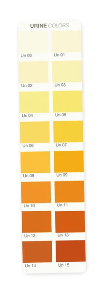 Urinfarben Farbstreifen Mit Index Von Klarem Urin Über Gelb Und — Stockvektor