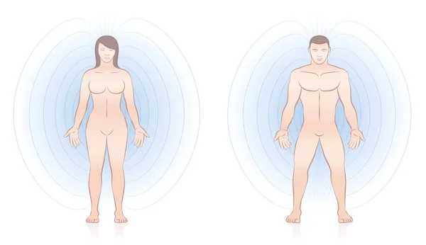 人类精力充沛的身体 男人和女人的线条和光环 能量模式围绕一对夫妇 在互补医学治疗 白色背景的矢量说明 — 图库矢量图片