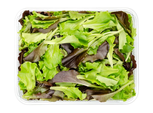 Fresh Picked Loose Leaf Lettuce Red Green Leaved Pluck Lettuce — Stock Photo, Image