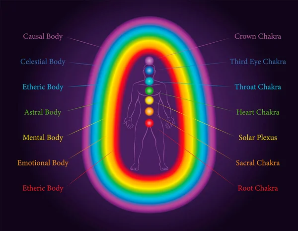 Cuerpos Aura Las Siete Capas Hombre Meditante Con Chakras Relacionados — Archivo Imágenes Vectoriales