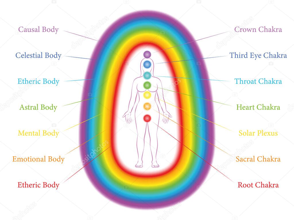 Seven main chakras and corresponding aura layers of a standing woman. Etheric, emotional, mental, astral, celestial and causal layer. Labeled vector illustration chart.