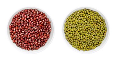 Beyaz kaselerde Adzuki fasulyesi ve mung fasulyesi. Azuki fasulyesi, ayrıca kırmızı fasulye ve yeşil gram olarak da bilinir. Vigna angularis ve Vigna radiata tohumları. Yakından, yukarıdan, beyazın üstünden, yemek fotoğrafı..