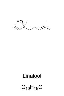Linalool, kimyasal formül ve iskelet yapısı. Birçok çiçek ve baharat bitkilerinde bulunan organik bir bileşik. Parfümlü hijyen ürünleri ve temizlik maddelerinde yaygın olarak kullanılan bir böcek ilacı. Vektör.