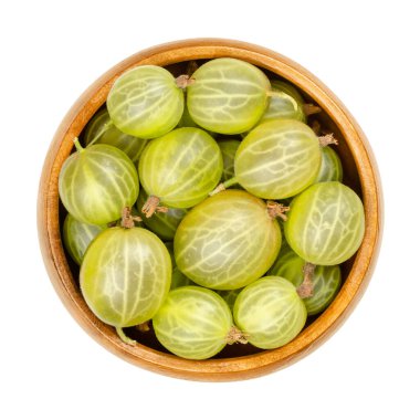 Tahta bir kasede yeşil bektaşi üzümü. Taze ve olgun meyveler, Ribes meyveleri, Avrupa bektaşi üzümü olarak da bilinir, tatlı ve sulu. Yakından, yukarıdan, beyaz, makro yiyecek fotoğrafının üzerine izole edilmiş..