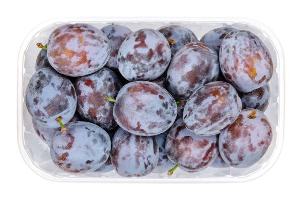 透明なプラスチック容器にプリューンプラムを熟す 新鮮な果実と ヨーロッパのプラムまたはツウェッチュとも呼ばれるフリーストーンフルーツであるプルナス ドメスティカの亜種で 黒の肌をしています — ストック写真