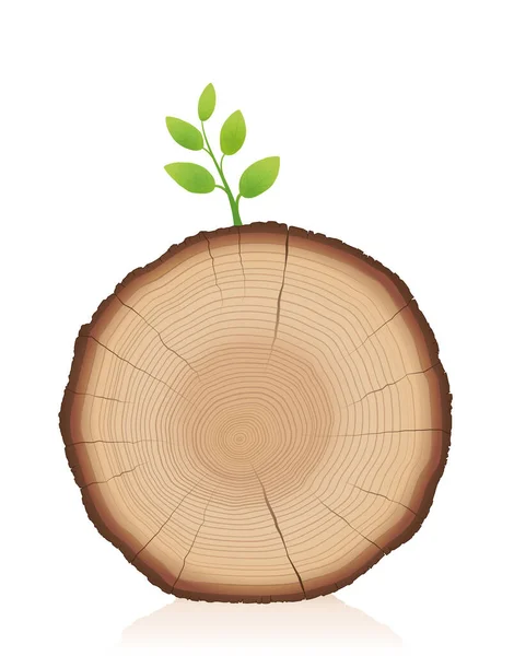 Tronco Árbol Con Brote Verde Rebanada Madera Con Ramita Joven — Vector de stock