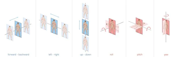 Possibilidades Movimento Corpo Humano Espaço Seis Graus Liberdade Para Frente — Vetor de Stock