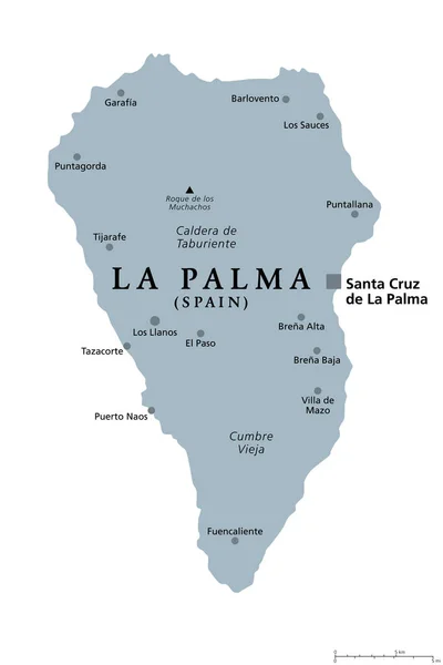 Isla Palma Mapa Político Gris Con Capital Santa Cruz San — Archivo Imágenes Vectoriales