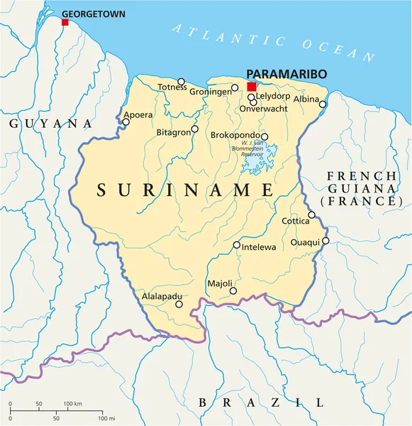 Mapa político de Surinam — Archivo Imágenes Vectoriales