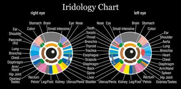 Irisdiagnostiek grafiek zwart — Stockvector