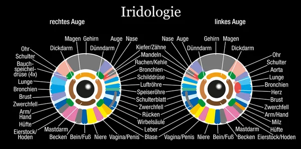 Iridology 차트 독일어 블랙 — 스톡 벡터