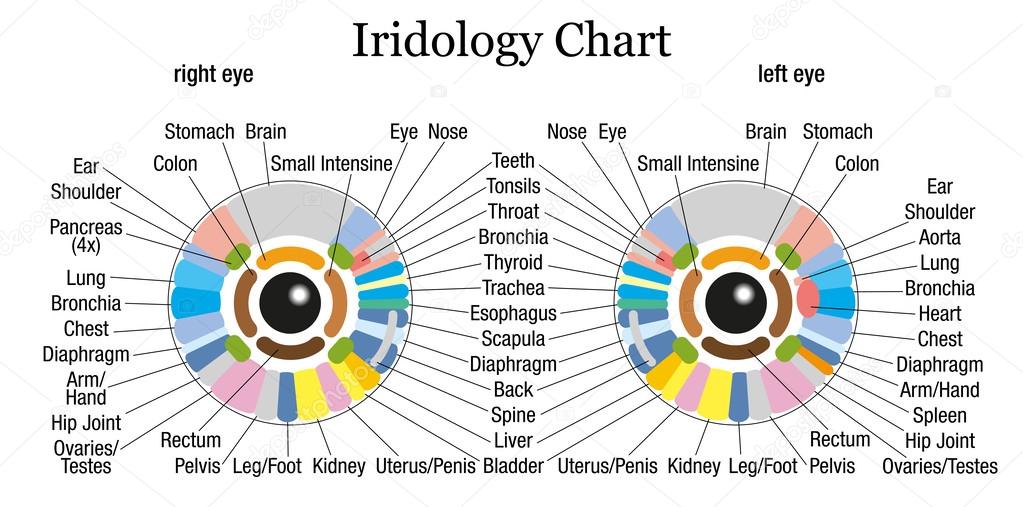 Iridology Charts Download Free