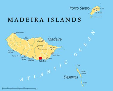 Madeira Islands Political Map clipart