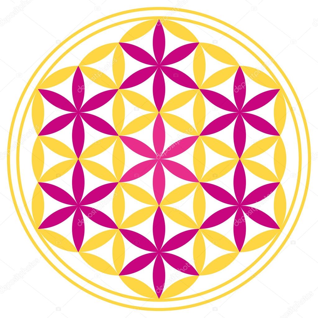 Flower of Life With Seven Magenta Stars — Stock Vector © Furian #61181903