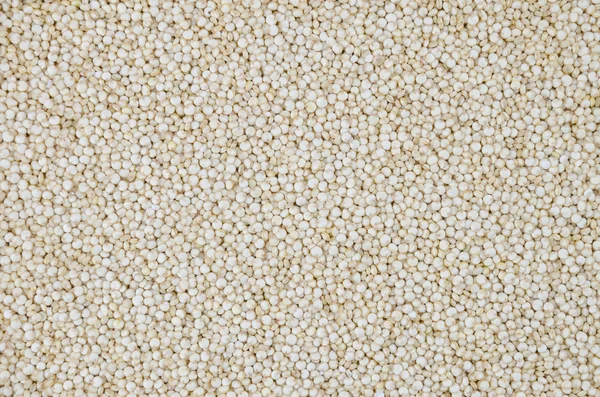 Fundo quinoa — Fotografia de Stock