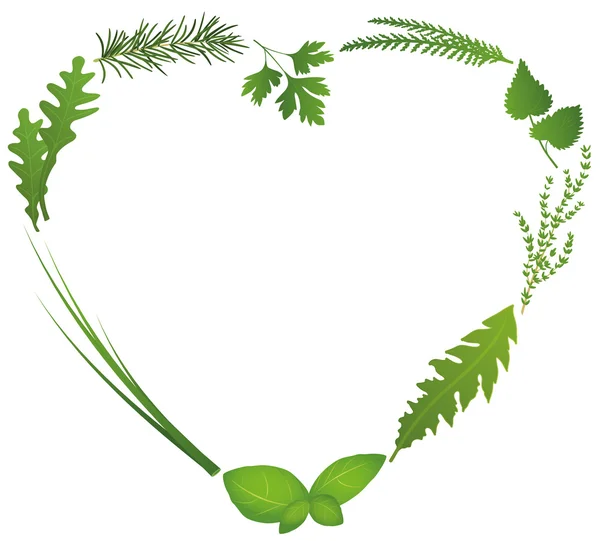 Culinary Herbs Heart — Stock Vector