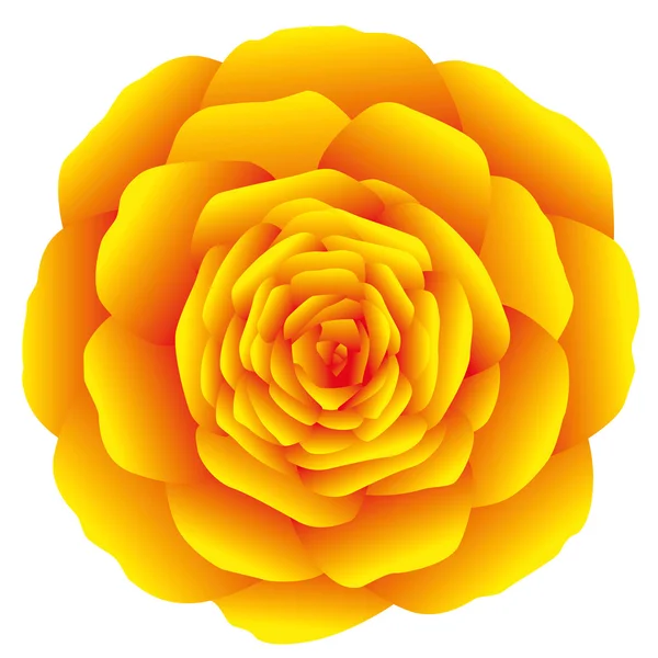 Rosa amarillo naranja — Archivo Imágenes Vectoriales