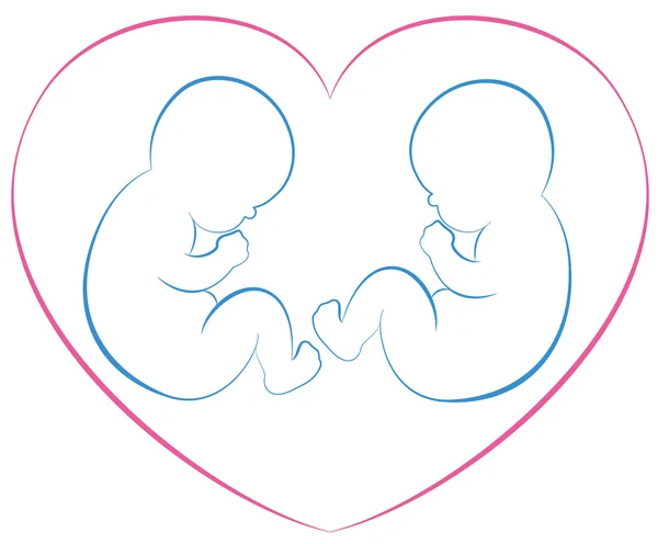 Twins baby's hart — Stockvector