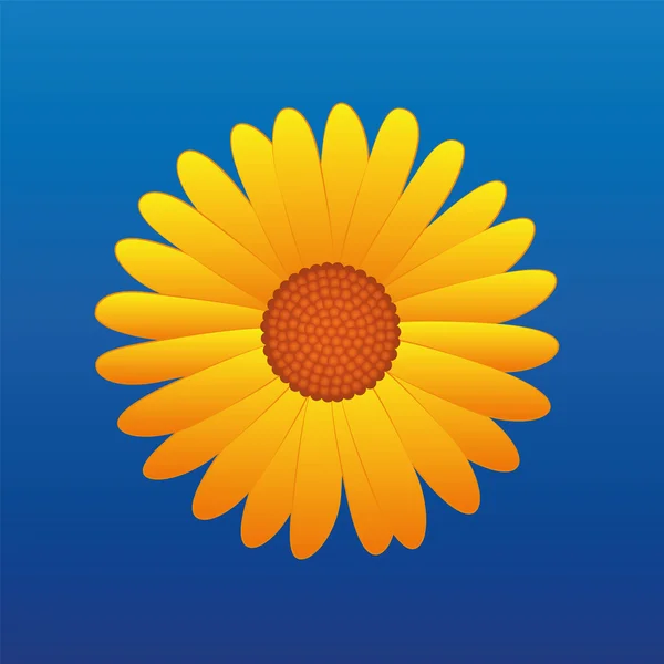 Flor amarilla aster — Vector de stock