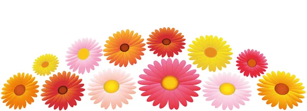 Asters Orange Pink Yellow Flowers Arrangement — Stock Vector