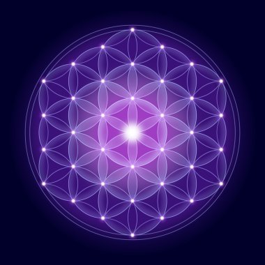 Bright Flower of Life With Stars clipart