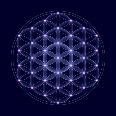 Cosmic Flower of Life With Stars
