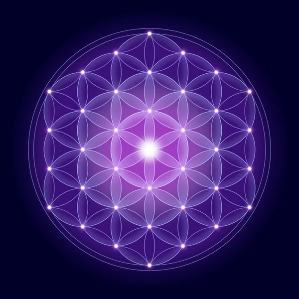 Bright Flower of Life With Stars — Stock Photo, Image