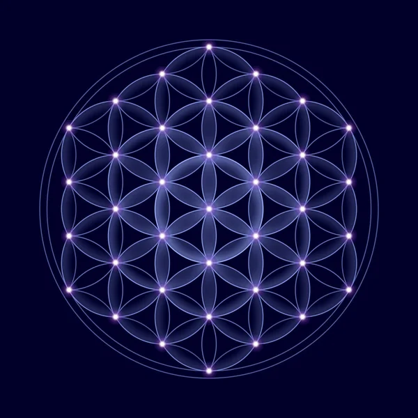 Yaşam Yıldızlarla kozmik çiçek