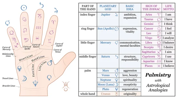 Palmistry Astrologie grundlegende Analogien Diagramm — Stockvektor