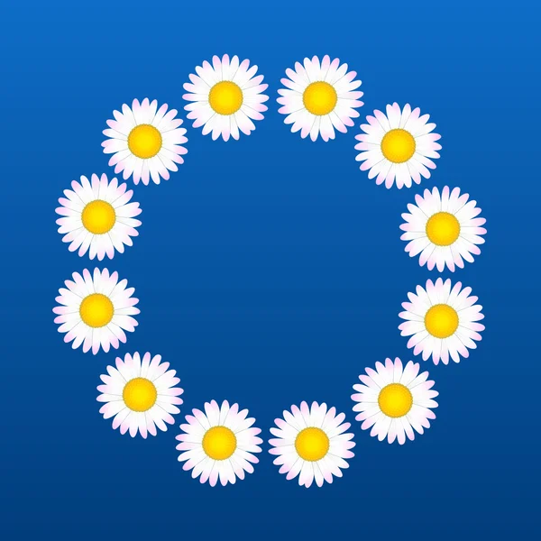 Marguerites Fleur coronale — Image vectorielle