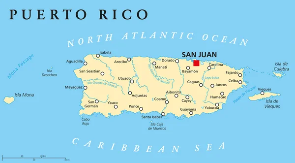 Puerto Rico Political Map — Stock Vector