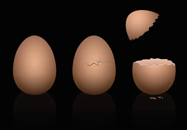 Eggs Damaged Broken Brown Black — Stock Vector
