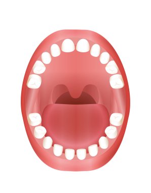 Bebek çocuk ağız diş diş