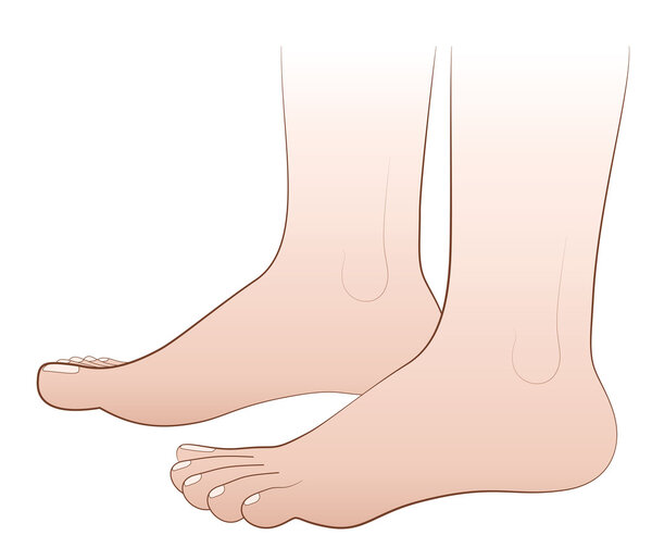 Feet Barefoot