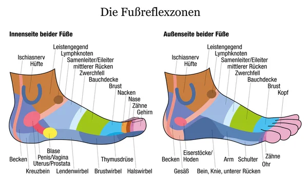 Ноги рефлексології стороні профілю щиколотки перегляд Німецька — стоковий вектор
