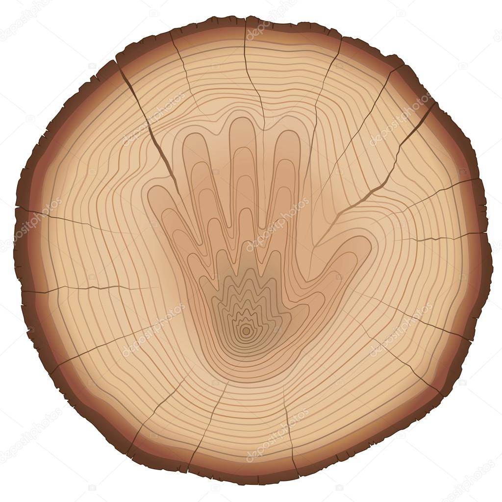 Wood Rings Stop Hand Sign Nature Protection Age