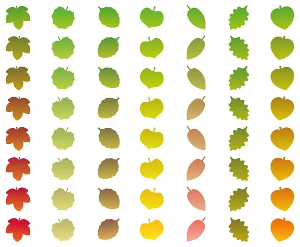 Feuilles Changement de couleur Niveaux Automne Vert — Image vectorielle